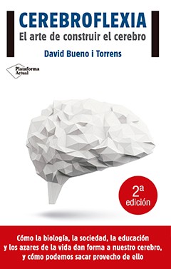 Cerebroflexia