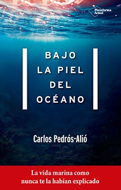 Bajo la piel del océano