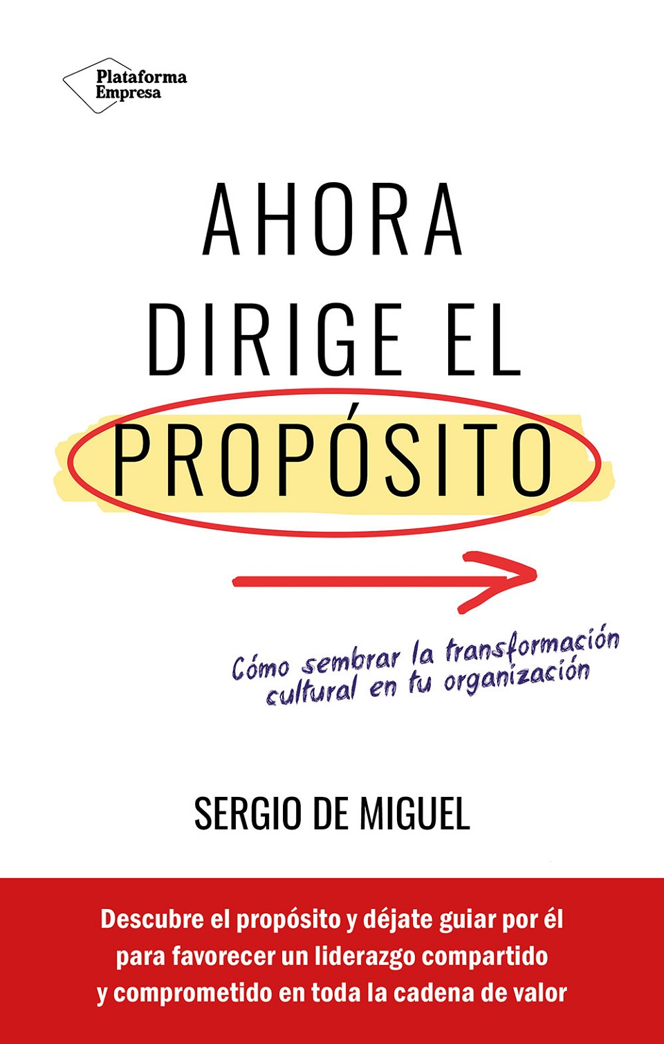 Sergio de Miguel - Ahora dirige el propósito
