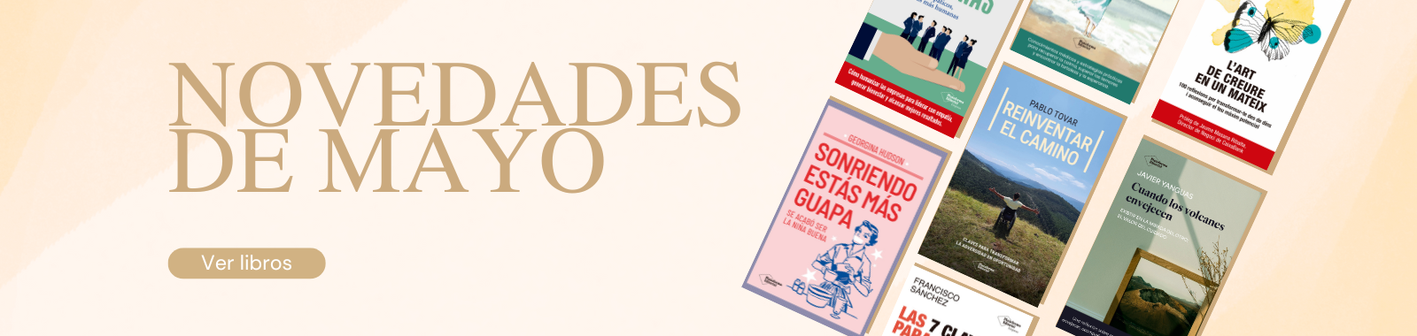 Descripción de la imagen