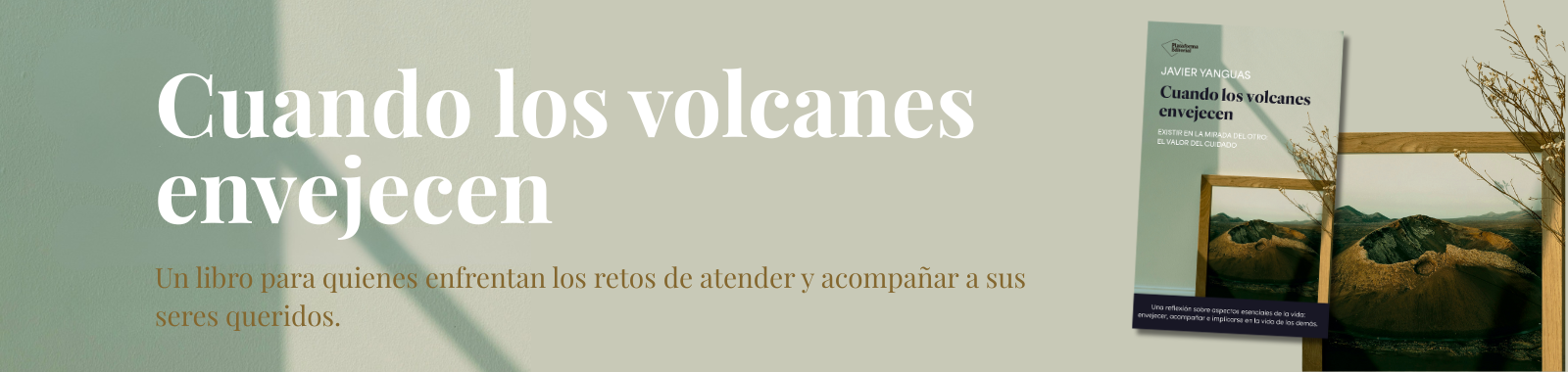 Descripción de la imagen