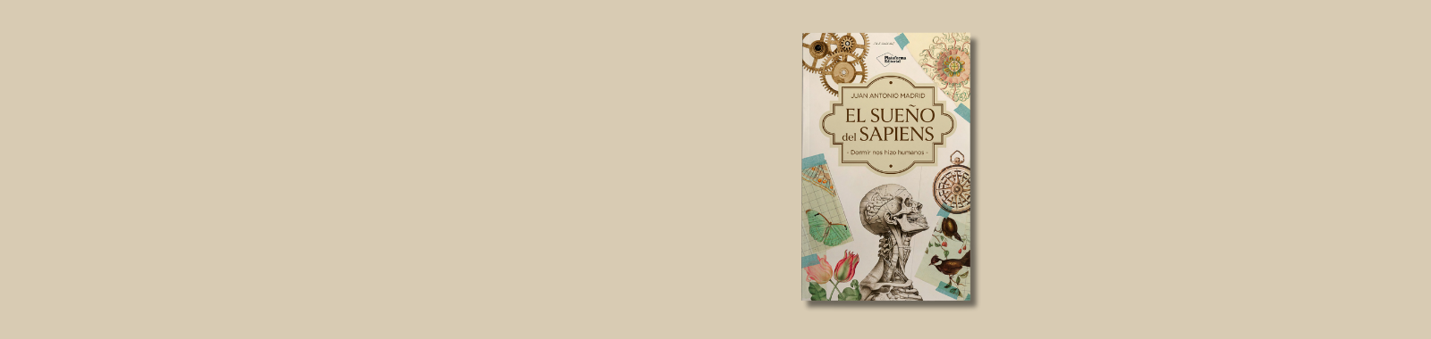 El sueño del sapiens