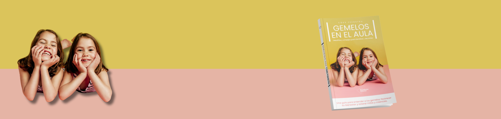 Gemelos en el aula