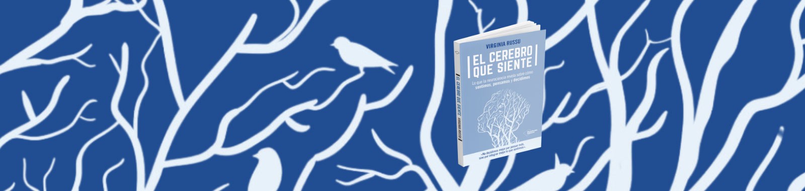 &laquo;No decidimos mejor por pensar m&aacute;s, sino por integrar mejor lo que sentimos&raquo;.